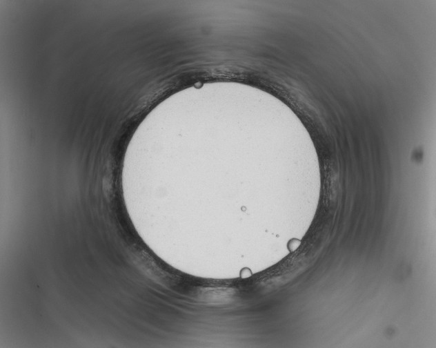 X0000116880266201001191750