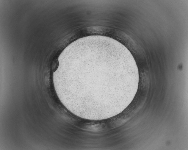 X0000116880267201001191750