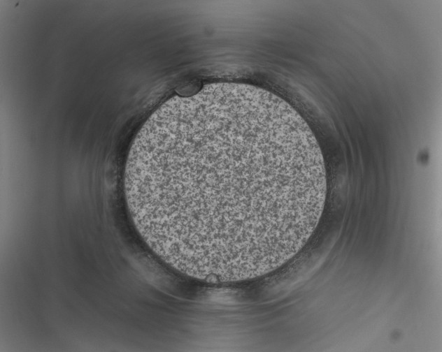 X0000116880268201001191750