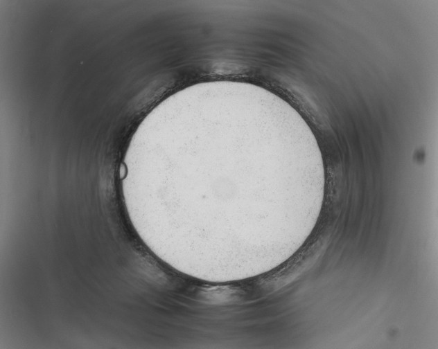 X0000116880269201001191750