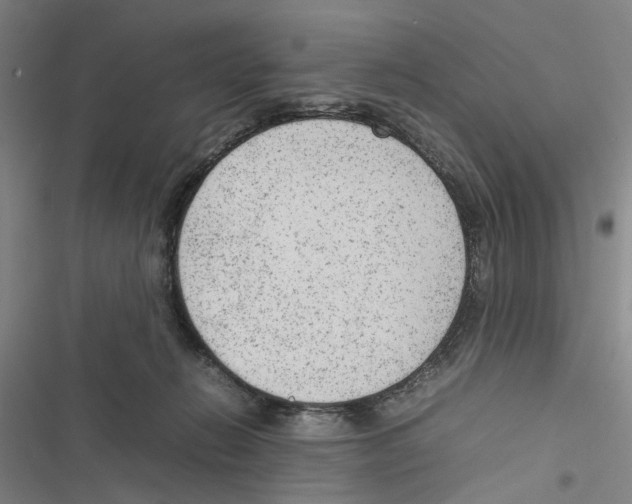 X0000116880270201001191750