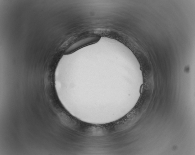 X0000116880272201001191750