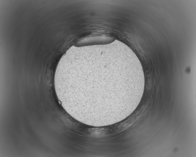 X0000116880273201001191750