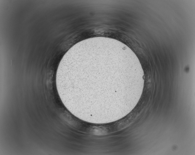 X0000116880275201001191750