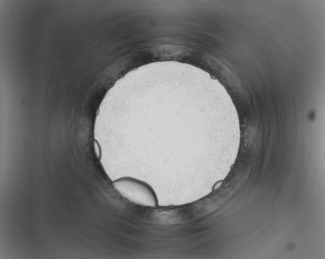 X0000116880283201001191750