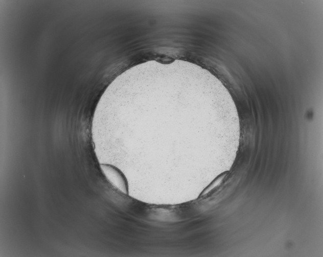 X0000116880285201001191750