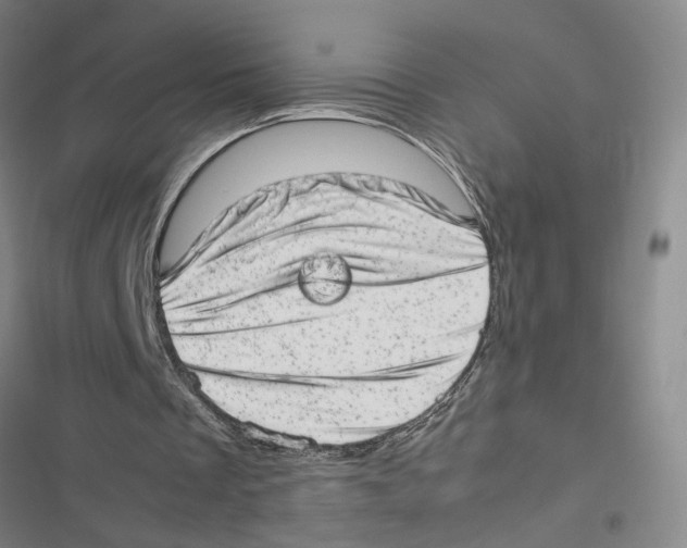 X0000116880289201001191750