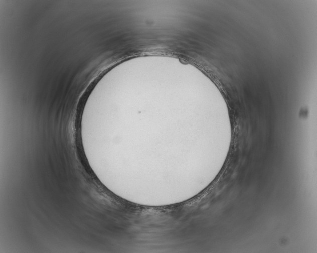 X0000116880290201001191750