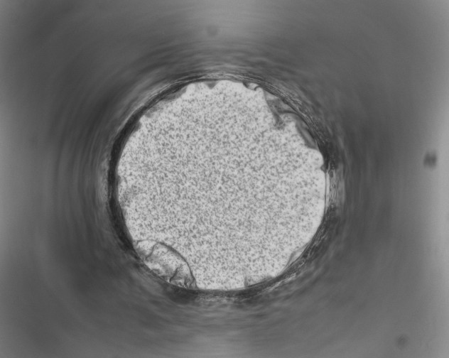 X0000116880291201001191750