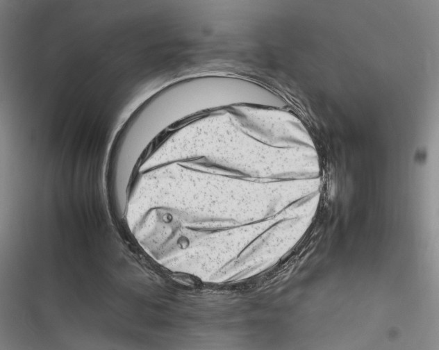 X0000116880292201001191750