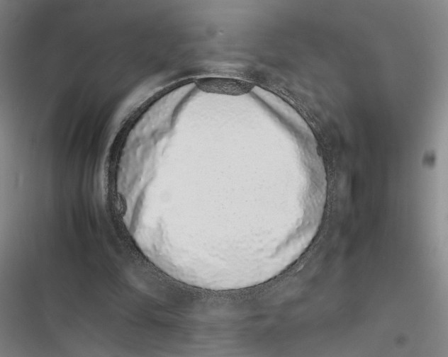 X0000116880294201001191750