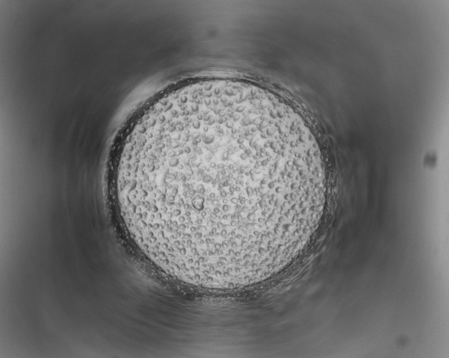 X0000116880296201001191750