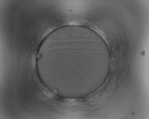 X0000116880297201001191750