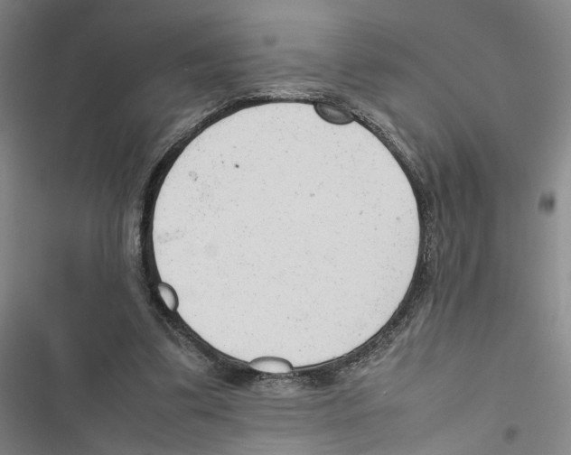 X0000116880299201001191750