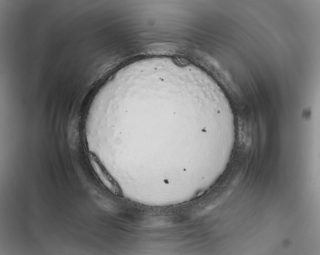 X0000116880300201001191750