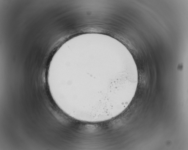 X0000116880302201001191750
