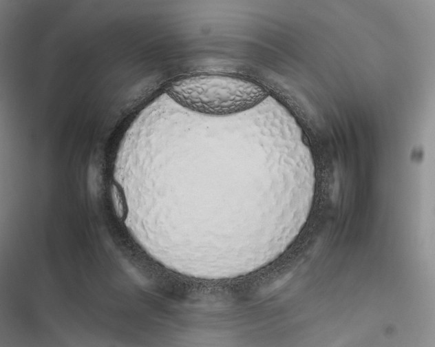 X0000116880304201001191750