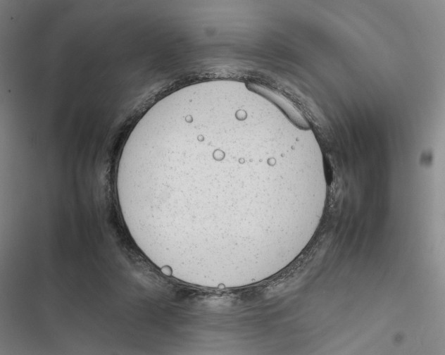 X0000116880306201001191750