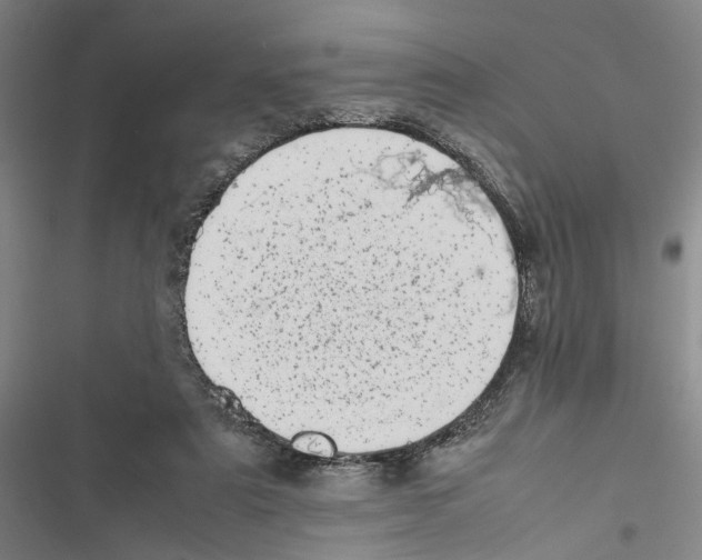 X0000116880307201001191750