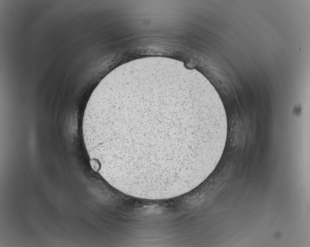 X0000116880310201001191750
