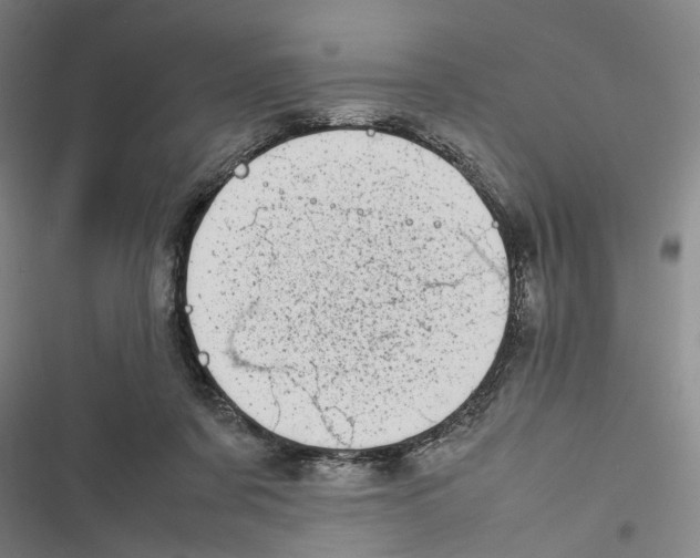 X0000116880311201001191750