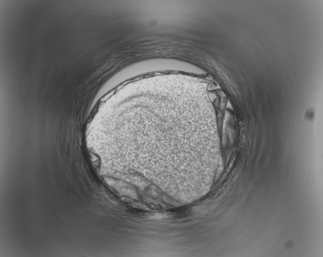 X0000116880313201001191750