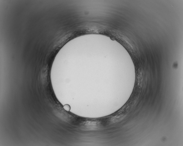 X0000116880314201001191750