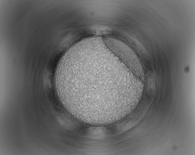 X0000116880316201001191749