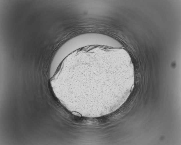 X0000116880317201001191749