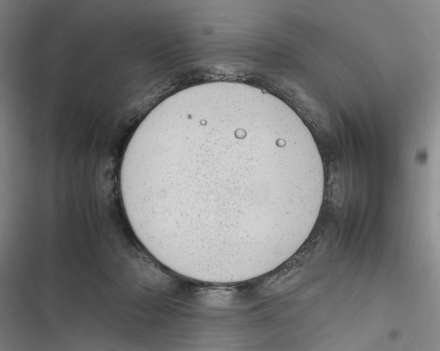 X0000116880318201001191749