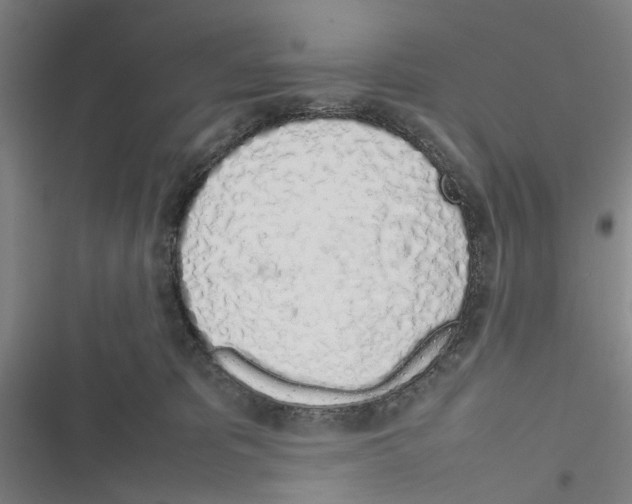 X0000116880325201001191749