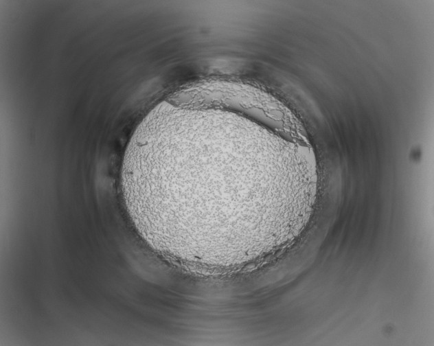 X0000116880328201001191749