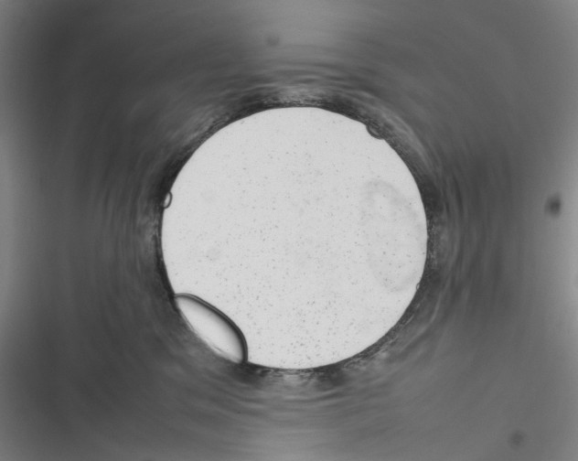X0000116880329201001191749