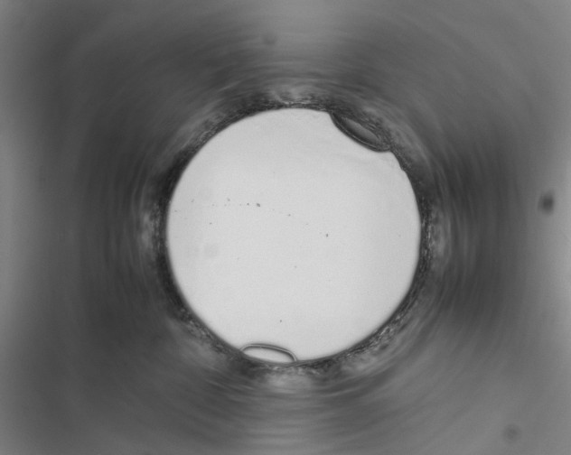 X0000116880332201001191749