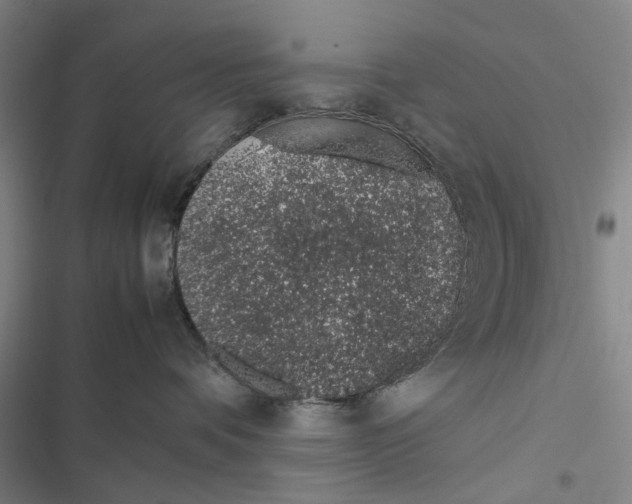 X0000116880336201001191749