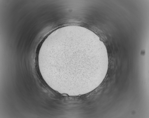 X0000116880338201001191749