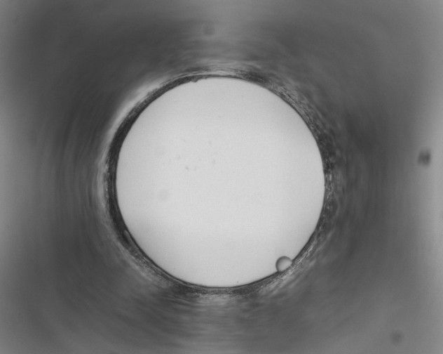X0000116880342201001191749