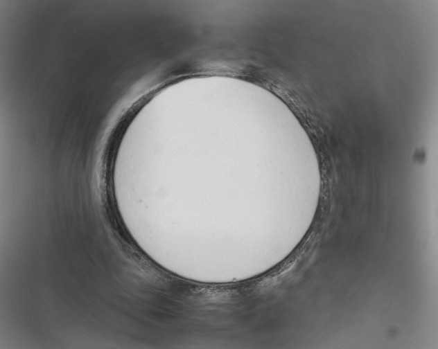 X0000116880343201001191749