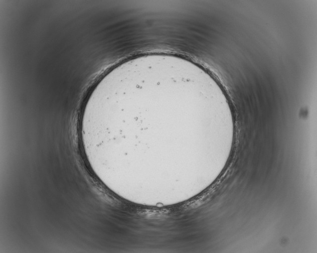 X0000116880345201001191749
