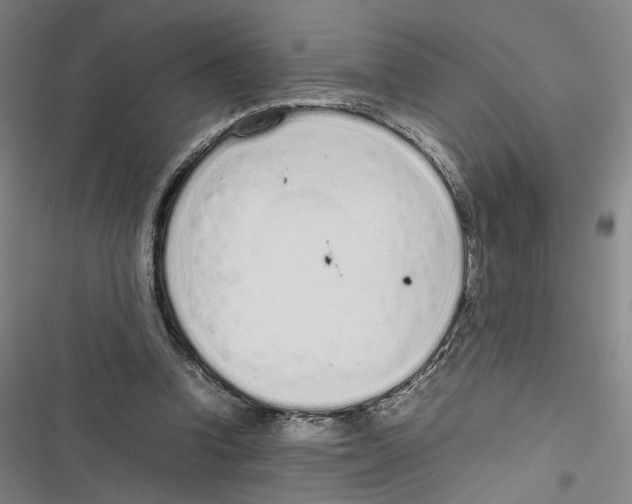 X0000116880346201001191749