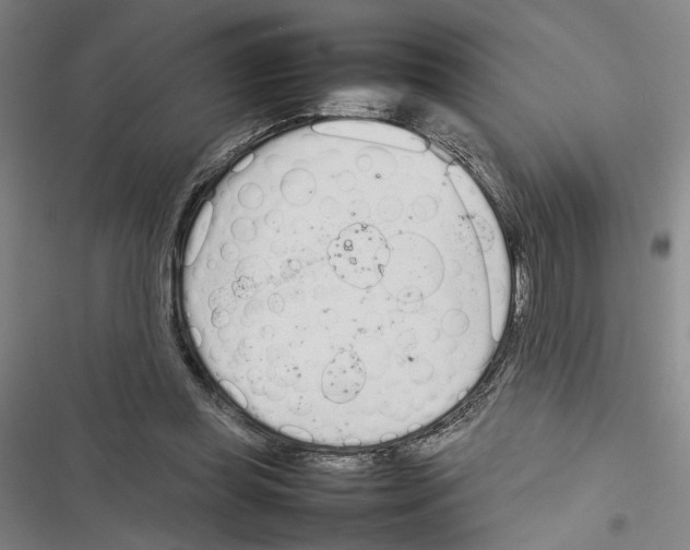 X0000116880349201001191749