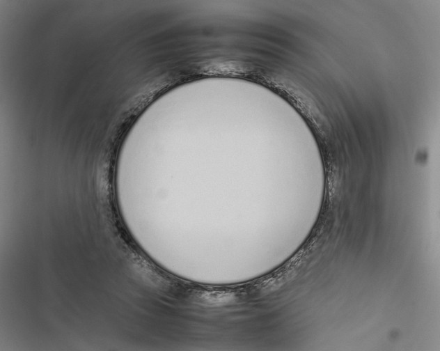 X0000116880353201001191749