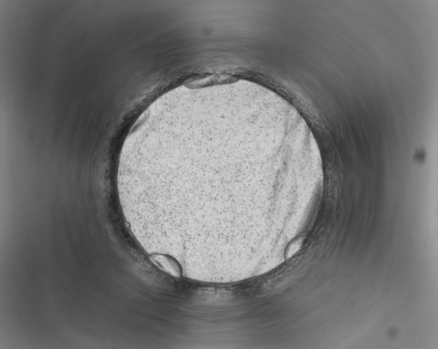 X0000116880354201001191749