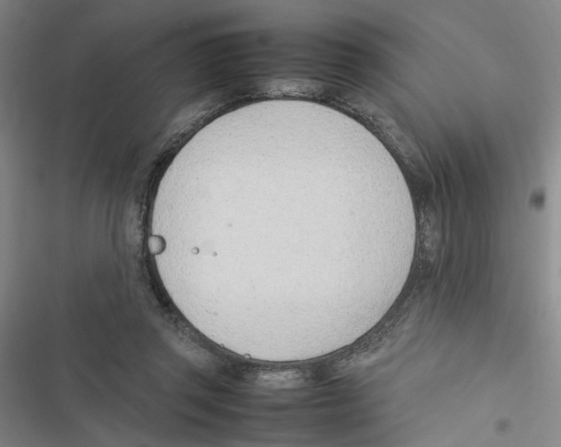 X0000116880357201001191749