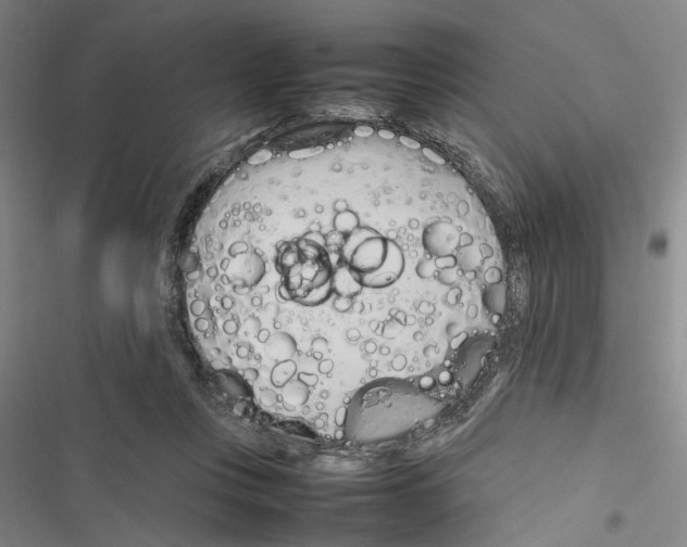 X0000116880359201001191749