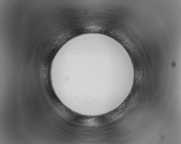 X0000116880365201001191749