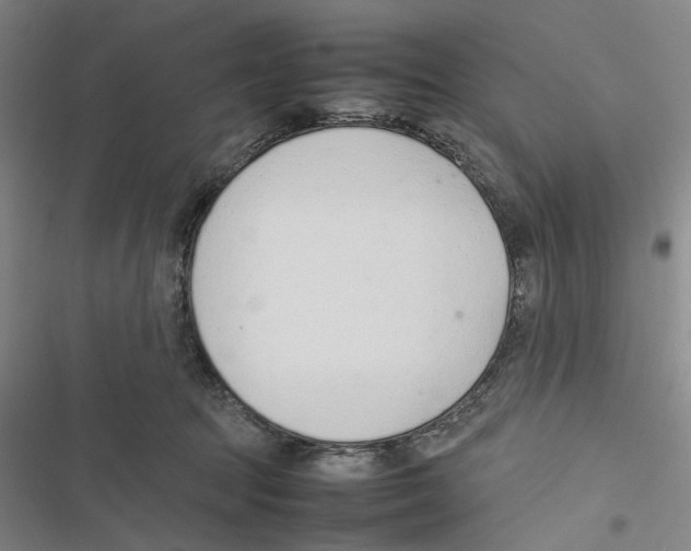 X0000116880369201001191749