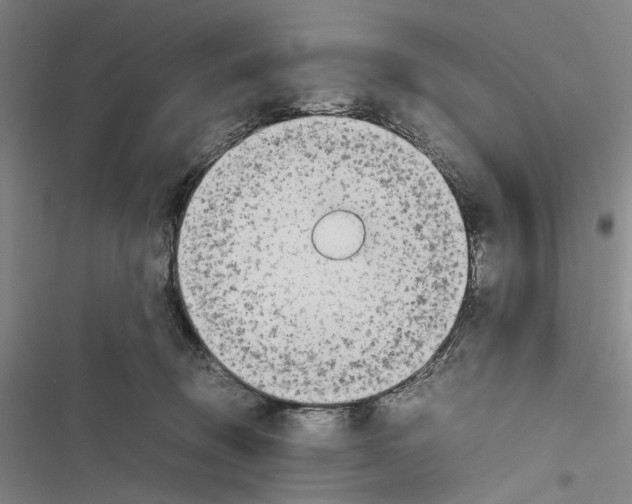 X0000116880370201001191749