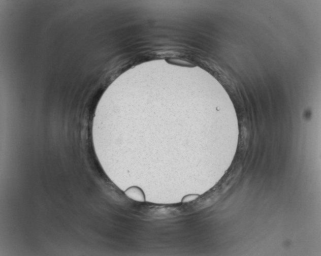 X0000116880379201001191749