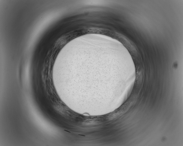 X0000116880381201001191749